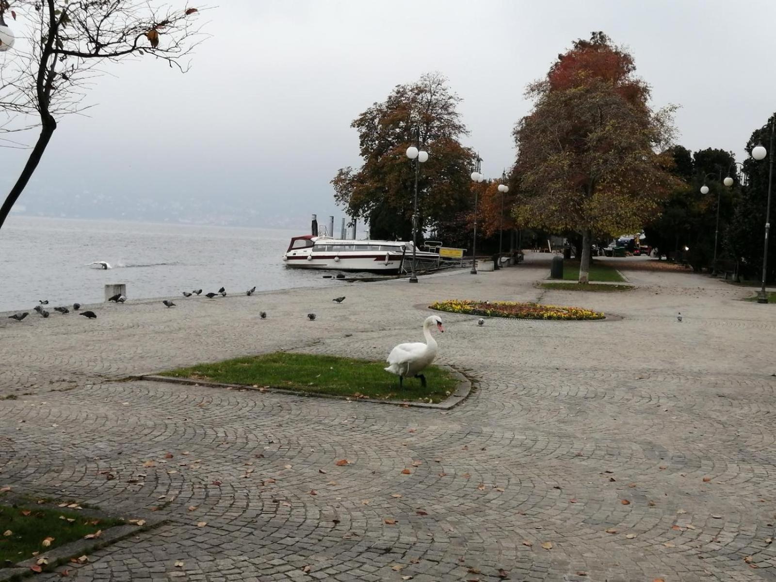Casa Vacanze La Formica Verbania Esterno foto